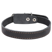 Ошейник кожаный двойной (20мм*450мм)