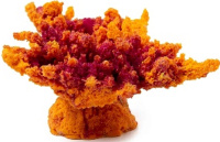 Россия Коралл корона, 13*10*6,5 (оранжевый)