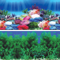 Фон "Водное шоу/Карнавал", 9031/9099, 300*600мм, Laguna