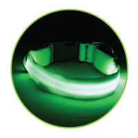 Триол Ошейник светодиодный NIGHT CITY неоновый желтый,