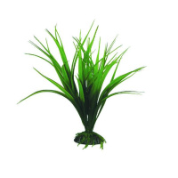 2562 Раст.пласт. Сагетария 25см