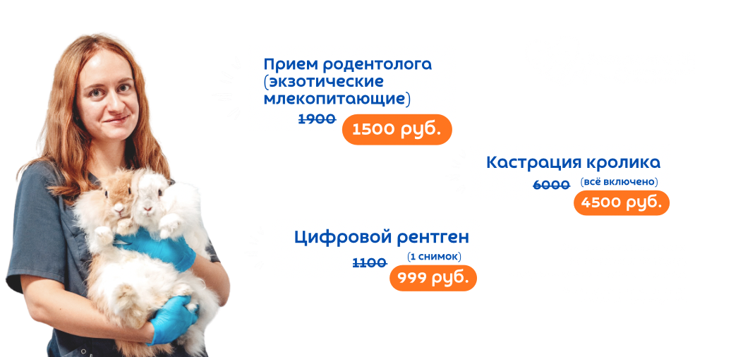 Чек-Ап питомца в ЗООЗАЩИТЕ!