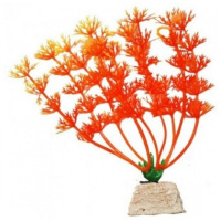 УЮТ Растение аквариумное 10см Амбулия оранжевая 0,02кг [ВК110]