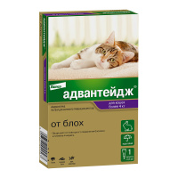 0.Advantage cat 4-8 1pip_face