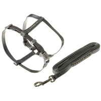 Шлейка+поводок кожзам со стразами 10 мм [30-35 см] (серебряная)