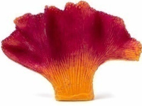 Россия Коралл веер акрил, 9*2*7 (оранжевый)