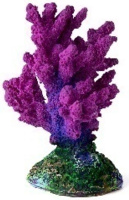 Грот Коралл ветка, 7*7*11 Краснодар фиолетовый