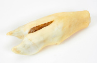 LUCKY DOG Нога говяжья малая