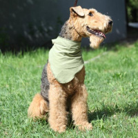 Косынка охлаждающая OSSO (р-р M)