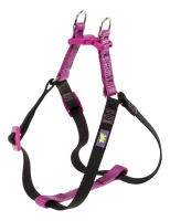 a1430dd2_bfc3_11e7_80bc_a0d3c1f100d7_2934