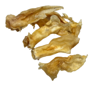 63600939-A4FD-46C2-A9BD-12D5B28886C4-PhotoRoom.png-PhotoRoom