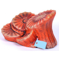 Россия Грот Подставка для Черепах Актиния большая Краснодар,