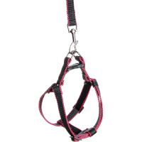 Зооник Комплект для собак средних пород [поводок 2 м. и шлейка] капрон 20 мм.*5