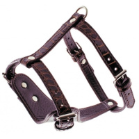 Шлейка ДЕЙЗИ для собак M шоколадная 5624208