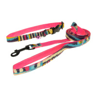 Комплект Ошейник 10 мм*30 см с поводком 120 см "Радуга" Пет Лайн (розовый)