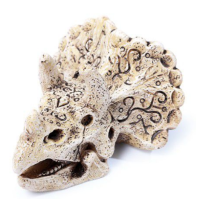 Грот "Череп трицератопса", 75*62*50мм, Laguna