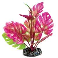 Растение "Монстера", 200мм Триол