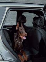 Гамак автомобильный LM6600 (размер (140х160 см) (черный))