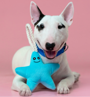 Игрушка Mr.Kranch д/собак мелких и средних пород Звездочка с канатом и пищалкой 26х16х5см,нежно-голубая