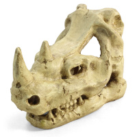 Грот 2802LD "Череп носорога" Триол