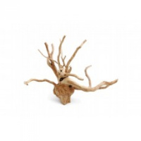 Россия VladOx Коряга "Корень Азалии" Azalea wood 40-70 см [цена за шт]