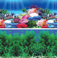 Фон "Водное шоу/Карнавал", 9031/9099, 400*800мм, Laguna