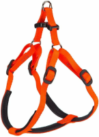 Снимок экрана (77)