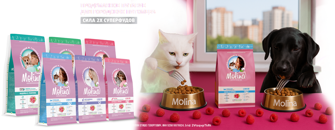 НОВИНКА: Сухой корм Molina