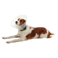 Амм. Воротник защитный Вальта (7 см)