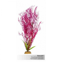 BARBUS 031/10 см. Plant сиренив. растение