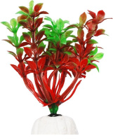 УЮТ Растение аквариумное 10см Гемиантус красно-зеленый 0,02кг [ВК108]