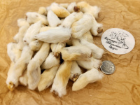 Лакомство Лапы кролика передние, 1кг Культура Хвостатого Вкуса ПОШТУЧНО