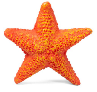 Коралл искусственный "Звезда морская", S, 85*85*23мм, Laguna