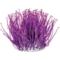 BARBUS BARBUS Коралл силикон 9,5*9,5*10 см. 249