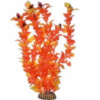 2971 Растение Гамфрена оранжевая 29см Триол