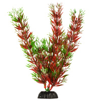 BARBUS 001/30 см. Plant красное растение