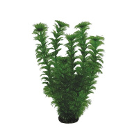 2566 Растение Адонис 25см Триол