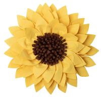 35969_970-no-bg-preview (carve.photos)