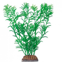 Триол Растение "Гетерантера" зеленая, 200 мм.