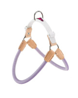 c845c292d40411e780cd00505699e383_d0dd4910e48011eb80fa00155d331805