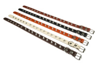 Амуниция Ошейник №25 1 слой с шипами ширина 25 мм., обхват шеи 40-53 см. 036