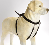 Нейлоновая шлейка огромная XL черного цвета 58*83 см