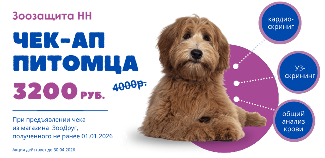 Чек-Ап питомца в ЗООЗАЩИТЕ!