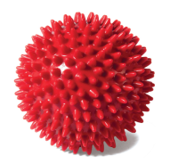 Набор игрушек для собак "Мяч игольчатый", d70мм [18шт.], Triol