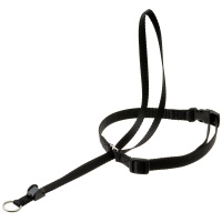 shop_items_catalog_image84131