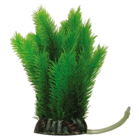 5610248 Растение Дейзи с распылителем №248, 19 см, пластик, блистер