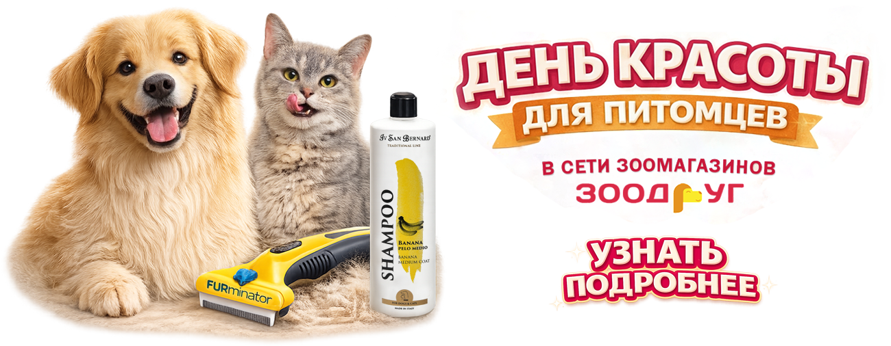 День красоты в сети ЗООДРУГ!