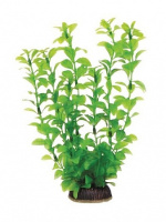 2583 Растение Людвига зеленая 25см Триол