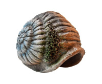 Грот Иж Раковина Ш2 15*12*9 см