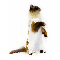 Послеоперационная попона OSSO Fashion (размер 4)